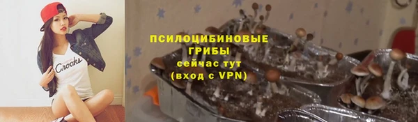 дурь Алексеевка