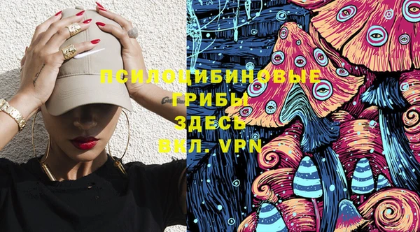 дурь Алексеевка