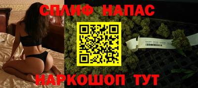 гидра Ставрополь