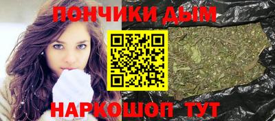 гидра Ставрополь