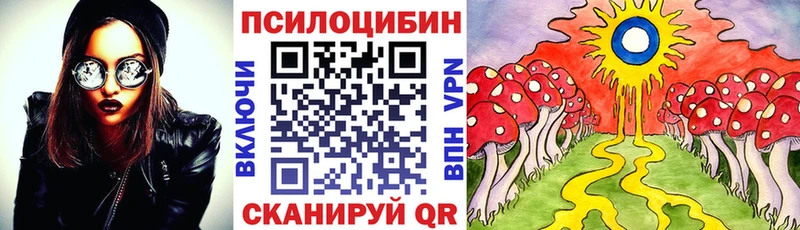 наркошоп  Новороссийск  Псилоцибиновые грибы GOLDEN TEACHER 